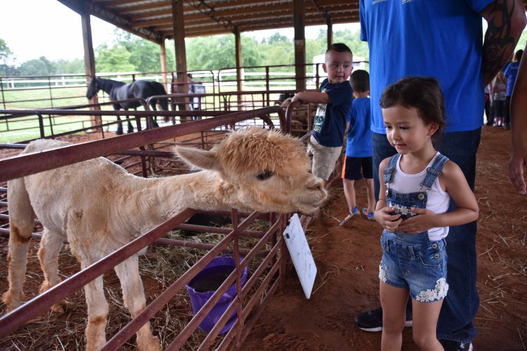 mimosa farm 2019 065 (1024x683).jpg